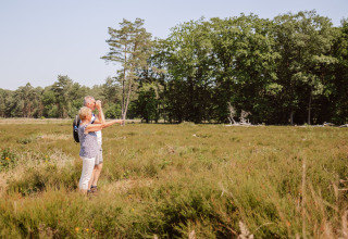 Dos personas mayores observan la naturaleza cerca de Camping Samoza – Glamping Lodges Veluwe en un día soleado.