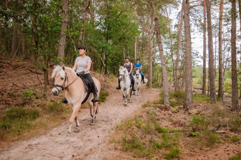 Tre personer rider på heste gennem en skov ved Camping Samoza – Glamping Lodges Veluwe i Holland.