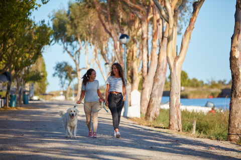 To kvinder går tur med en hund langs træerne ved Camping Nautic Almata – Glamping Costa Brava.