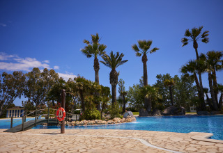 Palm-lined swimming pool under clear blue sky at Camping Nautic Almata – Glamping Costa Brava, perfect getaway.
