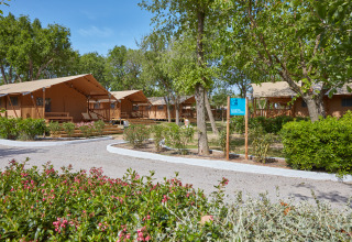 Alojamientos glamping en Camping Nautic Almata – Glamping Costa Brava rodeados de árboles y vegetación.