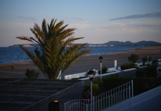 Palmboom en strand bij Camping Nautic Almata – Glamping Costa Brava met zeezicht en avondzon.