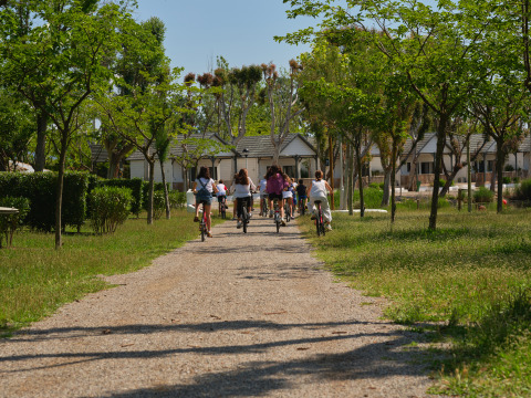 Niños montan en bicicleta por un camino arbolado en Camping Nautic Almata – Glamping Costa Brava.