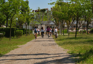 Kinderen fietsen over een met bomen omzoomd pad bij Camping Nautic Almata – Glamping Costa Brava.