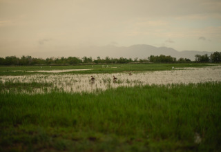 Wetland with birds and mountains in the background near Camping Nautic Almata – Glamping Costa Brava at dusk.