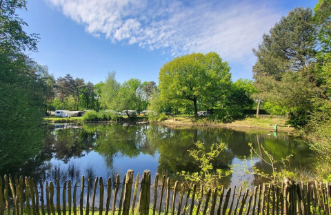 Camping Beringerzand - Finse Kota's Limburg, met rustige vijver, veel groen en unieke glampingverblijven.