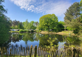 Naturskønt campingområde ved en sø med træer, spejlblankt vand og glamping i Finse Kota's Limburg.