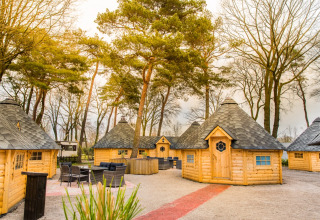 Glamping hos Camping Beringerzand - Finse Kota's i Limburg, omgivet af træer med hyggelige træhytter.