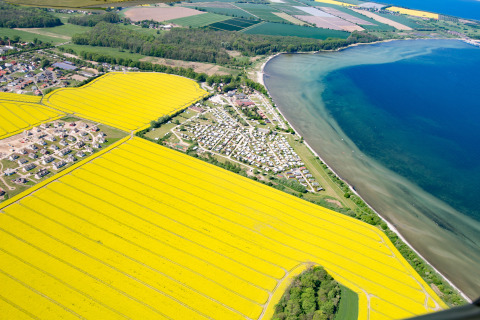 Aerial view of Vakantiepark Ostseecamping Zierow with yellow fields, campsites, and coastline in Germany.