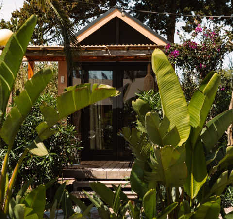 Glamping-accommodatie bij Camping Parco Ibiza by San Antonio, omringd door tropische planten in Ibiza.