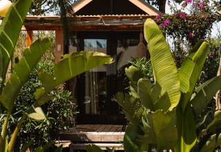 Glamping-accommodatie bij Camping Parco Ibiza by San Antonio, omringd door tropische planten in Ibiza.