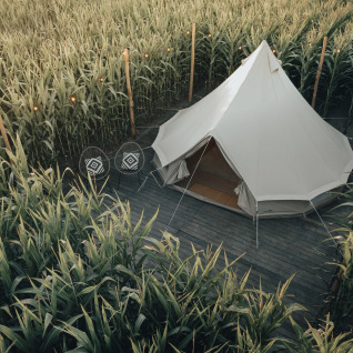 Glamping La Ferme telt midt i majsmark i Vestflandern, med moderne stol og lanterner til campingoplevelse.