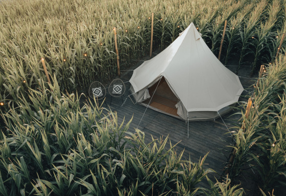 Tenda Glamping La Ferme immersa in un campo di mais nelle Fiandre occidentali, con sedie e lanterne.