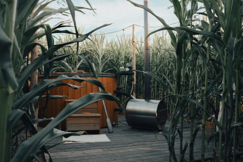 Buitenhottub omringd door hoge maïsplanten bij Glamping La Ferme in West-Vlaanderen, België.