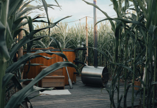 Udendørs badekar omgivet af høje majsplanter på Glamping La Ferme i West-Vlaanderen, Belgien.