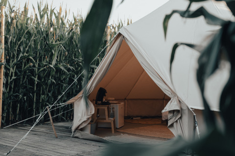 Glamping tent at Glamping La Ferme set by tall cornfields in West Flanders, Belgium, shown from outside.