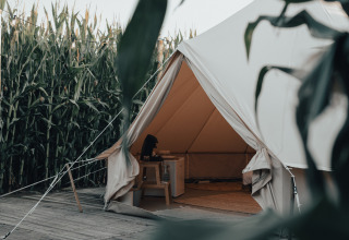 Glamping-Zelt bei Glamping La Ferme, umgeben von Maisfeldern in Westflandern, Belgien. Außenansicht.