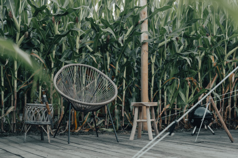 Espace extérieur à Glamping La Ferme, chaises et champ de maïs en toile de fond à West-Vlaanderen.