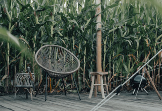 Udendørs terrasse ved Glamping La Ferme med stole og majsskove i baggrunden i West-Vlaanderen.