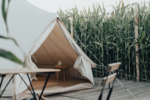 En luksustelt med åbning ud mod en træterrasse, omgivet af høje majsplanter hos Glamping La Ferme.