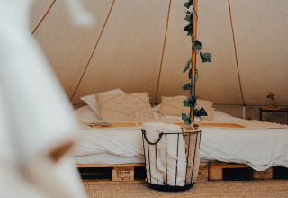 Sistemazione glamping accogliente con letto matrimoniale, morbida biancheria e decoro naturale in tenda in West Flanders.