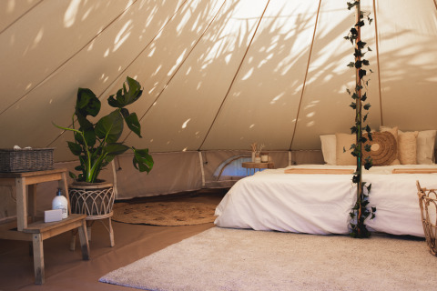 Interior of a Glamping La Ferme luxury tent in West Flanders with a cozy bed, plants, and natural light.