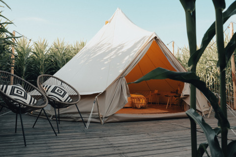 Glamping-Zelt auf Holzterrasse mit modernen Stühlen und Kissen, umgeben von Maisfeldern in Westflandern.