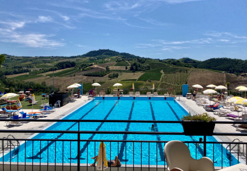 Udendørs swimmingpool med solstole og parasoller, omgivet af bakker og vinmarker ved Safaritenten Lombardije.