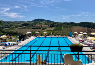 Piscina al aire libre con tumbonas y sombrillas, rodeada de colinas y viñedos en Safaritenten Lombardije.