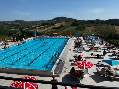 Großer Pool mit Liegestühlen und Sonnenschirmen bei Per Amore Del Vino - Safaritenten Lombardije, umgeben von Weinbergen.