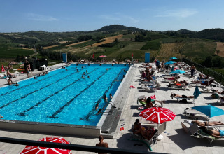 Large swimming pool and sun loungers with umbrellas at Per Amore Del Vino - Safaritenten Lombardije, with vineyard views.