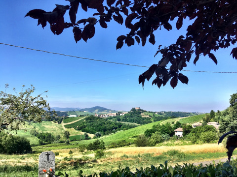 Blick auf grüne Hügel, Weinberge und ein Dorf von Per Amore Del Vino - Safaritenten Lombardije Campingplatz.