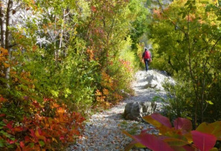 Hiker walking through autumn foliage along a forest path at Gorges de la Meouge, Hut Lodges Provence-Alpes-Côte d'Azur.