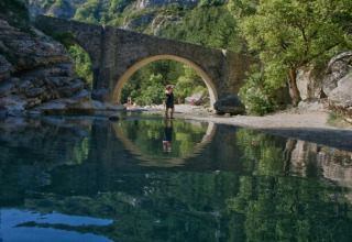 Natuurstenen brug over rivier bij Gorges de la Méouge, Provence-Alpes-Côte d'Azur, bomen en helder water.