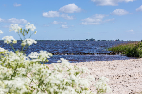 Smuk strandudsigt ved Friese Meren Villa’s med hvide blomster, blåt vand og klar himmel i Friesland.