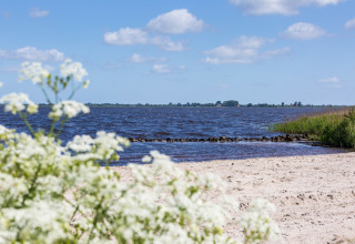 Vista de playa en Friese Meren Villa’s con flores blancas, agua azul y cielo despejado en Friesland.