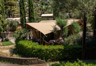 Glamping accommodatie bij DivaCamp San Marino met safaritent, omgeven door bomen en groene struiken.