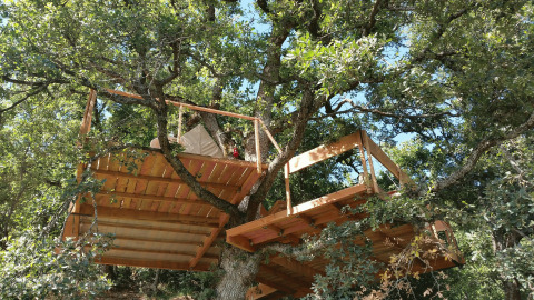 Luxe boomhut in Toscane, omgeven door bomen, perfect voor een unieke glamping of camping ervaring.