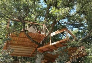 Casa sull’albero di lusso in Toscana immersa nel verde, perfetta per il glamping e il relax nella natura.