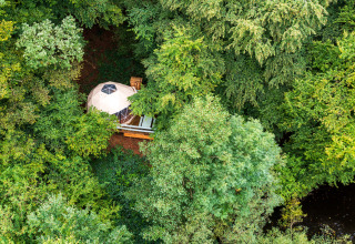 Glamping Auvergne – Tenda da glamping nascosta tra gli alberi nel bosco dell’Auvergne-Rhone-Alpes, vista aerea.