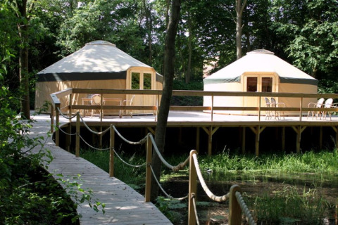 Dos yurtas de glamping en una plataforma de madera elevada rodeadas de bosque en Uhlenköper-Camp Uelzen.