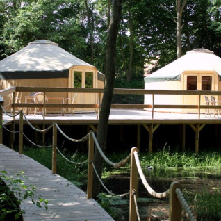 Dos yurtas de glamping en una plataforma de madera elevada rodeadas de bosque en Uhlenköper-Camp Uelzen.