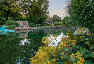 Natuurlijke glampingplek met zwemvijver, glijbaan en veel groen bij Uhlenköper-Camp Uelzen.