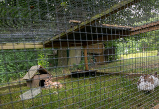 Conejera al aire libre en Uhlenköper-Camp Uelzen glamping, con caseta de madera y rodeada de vegetación.