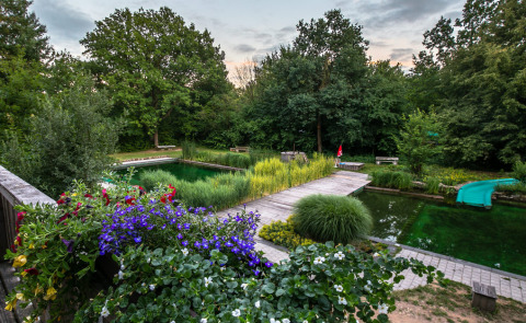 Natural swimming pond with wooden pathways and flowers at Uhlenköper-Camp Uelzen glamping in Lower Saxony.