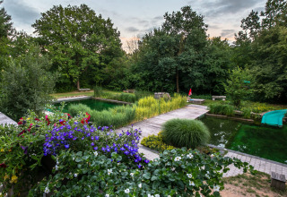 Natural swimming pond with wooden pathways and flowers at Uhlenköper-Camp Uelzen glamping in Lower Saxony.