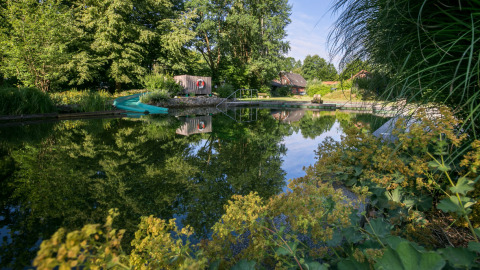 Scenic glamping at Uhlenköper-Camp Uelzen - Yurts Nedersaksen with a natural swimming pond and lush greenery.
