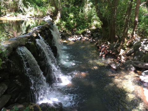 Waterval langs stenen muur in groen bos bij glamping camping Quinta das Corujeiras in Portugal.
