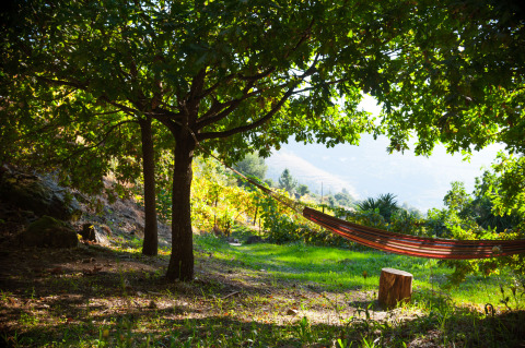Hamaca relajante bajo la sombra de los árboles en Quinta das Corujeiras, un alojamiento glamping entre la naturaleza.