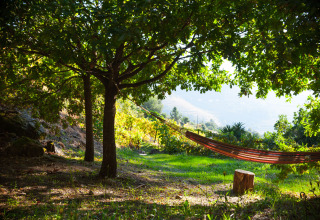 Amaca rilassante all’ombra degli alberi nel glamping Quinta das Corujeiras, immerso nel verde della natura.